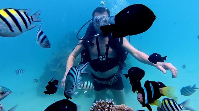 Дайвинг. Первое погружение к рыбкам, и кораллам.