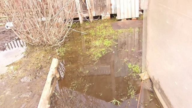 Дача. Конец апреля 2026 г.  г. Тюмень