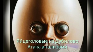 Яйцеголовые в Дубилово. Атака анализами.
