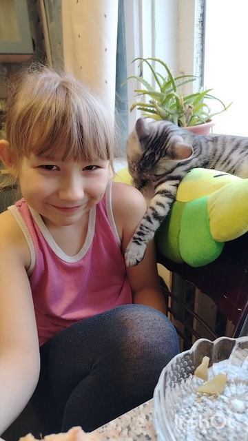 Будни нашего кота😺