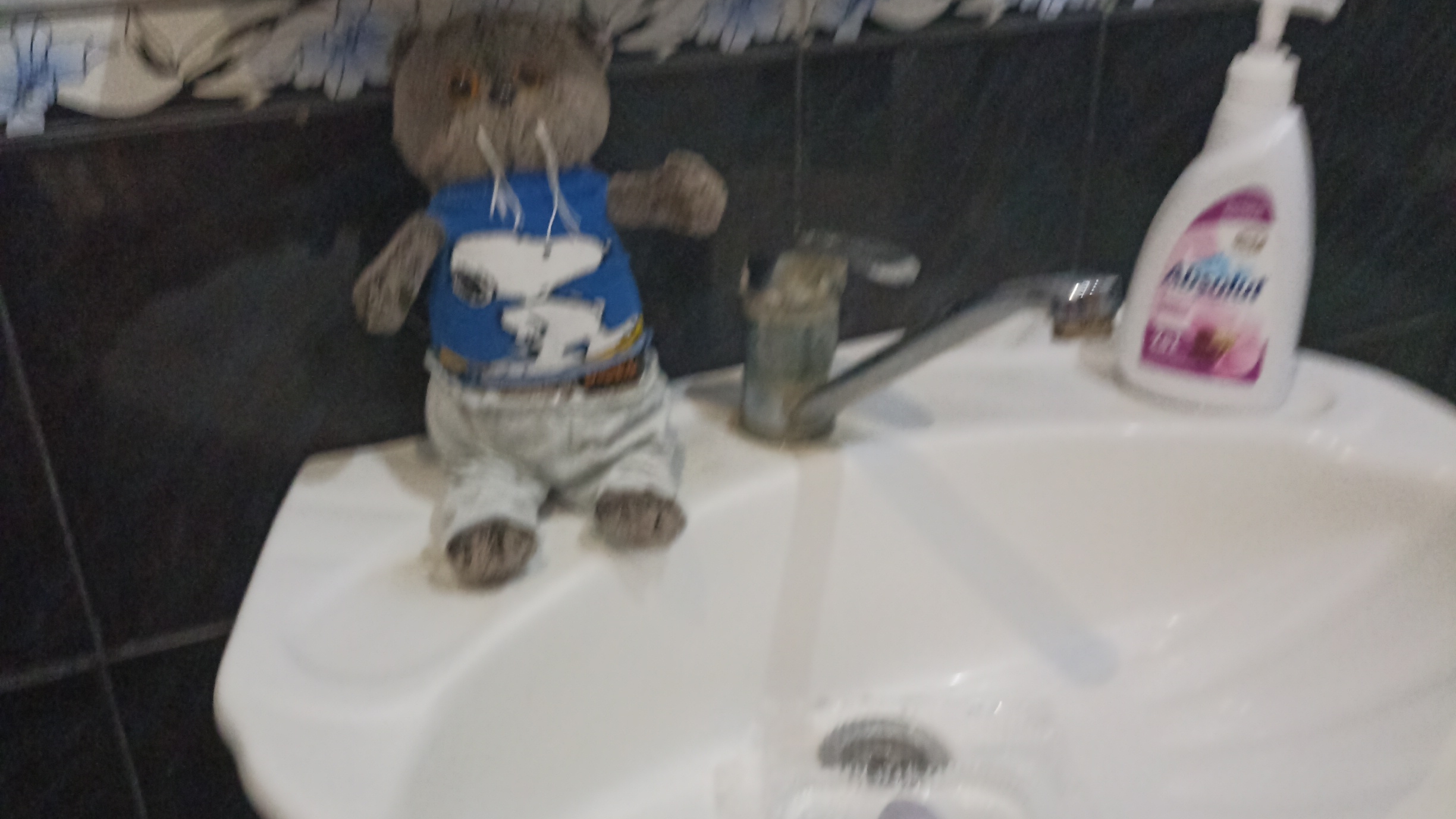 Влог с Басиками Миша описался