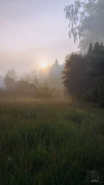 Ранняя прогулка