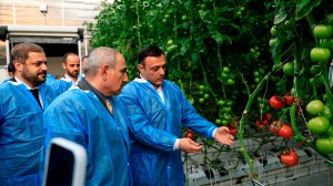 Пашинян посетил современную теплицу в 11 гектаров в армянском селе