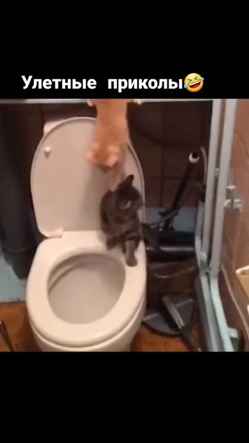 смех до слез😭