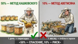 Сколько ульев нужно для работы на пасеке? Отвечает профессор Кашковский 🐝