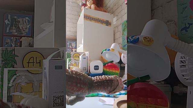 1000013678.mp4