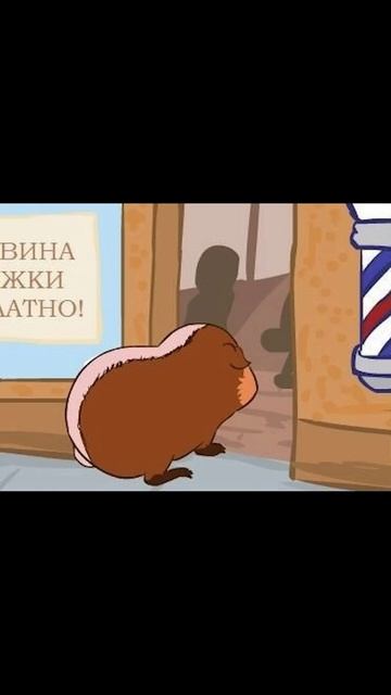 Половина стрижки бесплатно