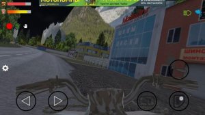 играю  в симулятор жизни