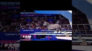 Чемпионат мира по прышкам в воду!!! Создано искусственным интеллектом!!