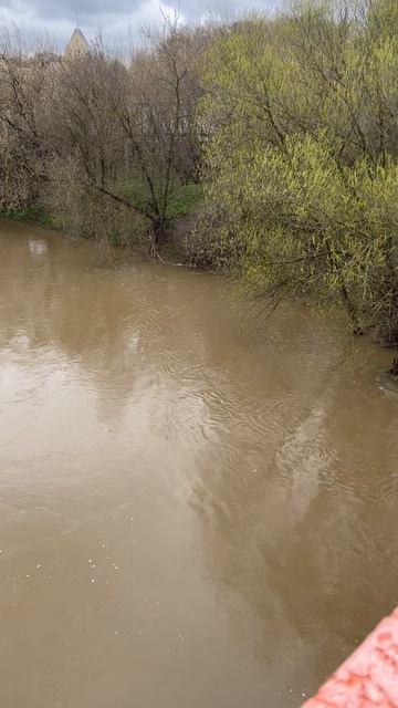 Пахра.Последствия снегопада. 29 апреля
