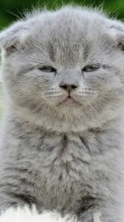 Пов: посреди урока.