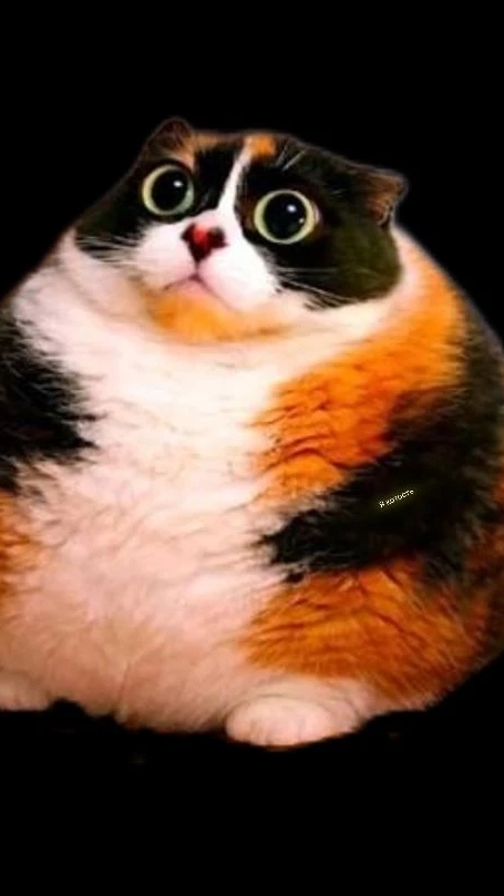 ♡Эдит смоку! ♡