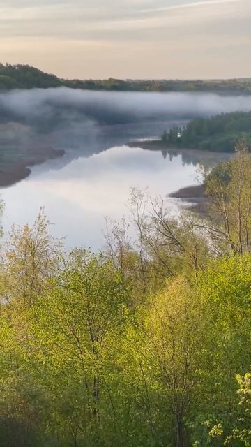 Нежная, светлая зелень