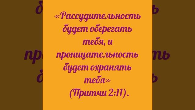 YouCut_20260429_024344163.mp4