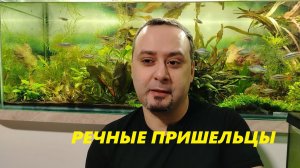 Речные пришельцы в фауне России