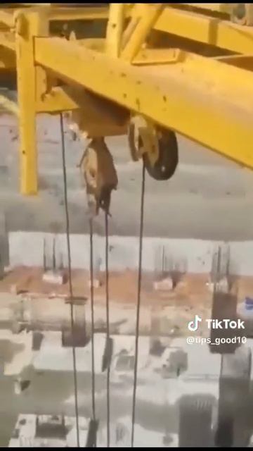 Немного позитива для вас в ленте!