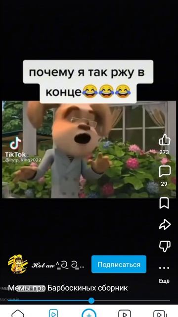 В барбосах нет мата 