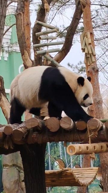 Mens Sana In Corpore Sano.