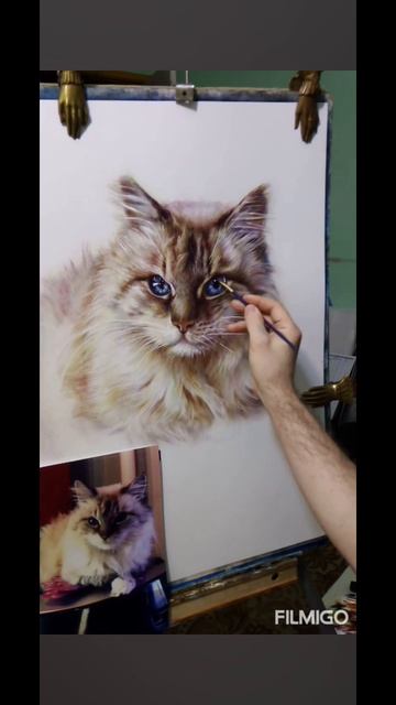 Портрет домашних животных