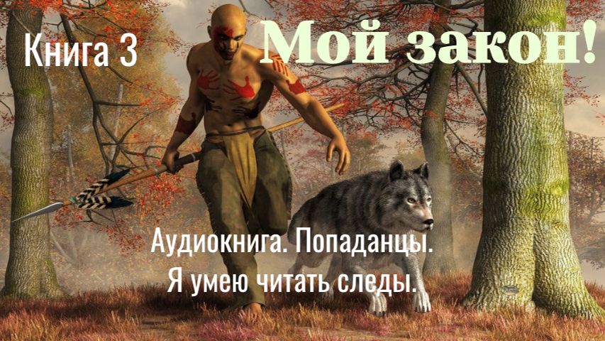 Аудиокнига Мой закон Книга 3. Фэнтези. Попаданцы.