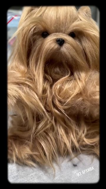 Скоро новая выставка