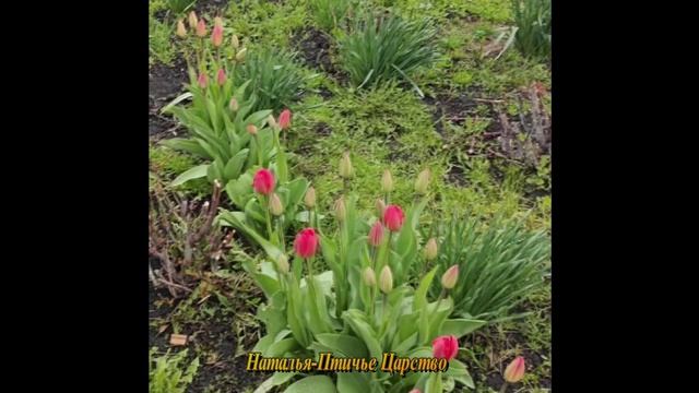 Лето будет?