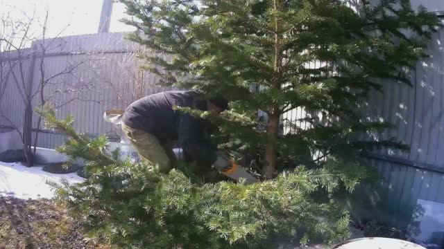 Еще немного истории. Восстановил удаленное 5 лет назад видео с помощью Recuva