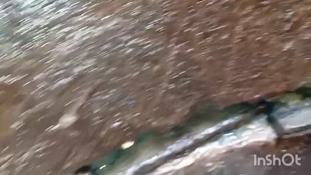 Ст. Венеция . Чистка колодца. Деревянный шов. 89166141907. Podkapaev.ru