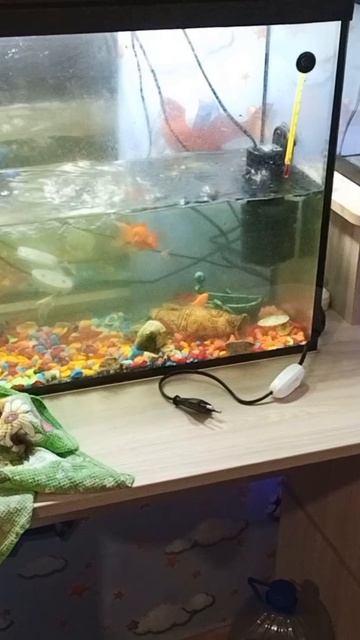 Аквариумная комната