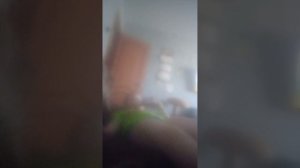 газировка А4