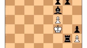 Сергей Карякин гениальнейшим образом выигрывает с 1 слоном и 1 ладьей против ферзя