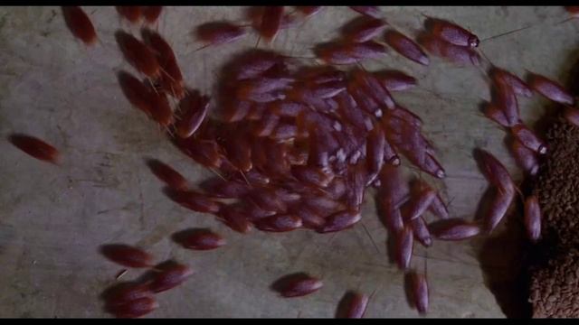 Освоение бюджета чиновниками.)))