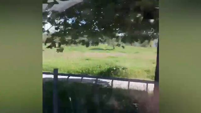 Город Севастополь