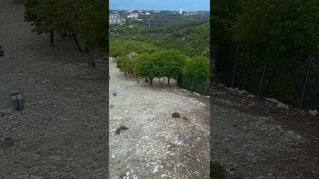 козлы и олени уживаются хорошо 😆