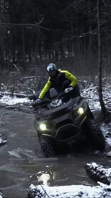 Окунемся в прошлое?