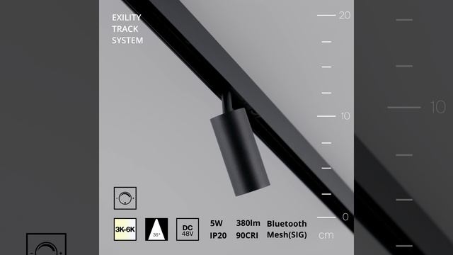 Светильник Maytoni Exility Focus LED TR032-4-5W3K-M-DS-B