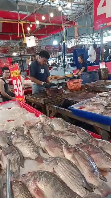 Дары Тайских морей