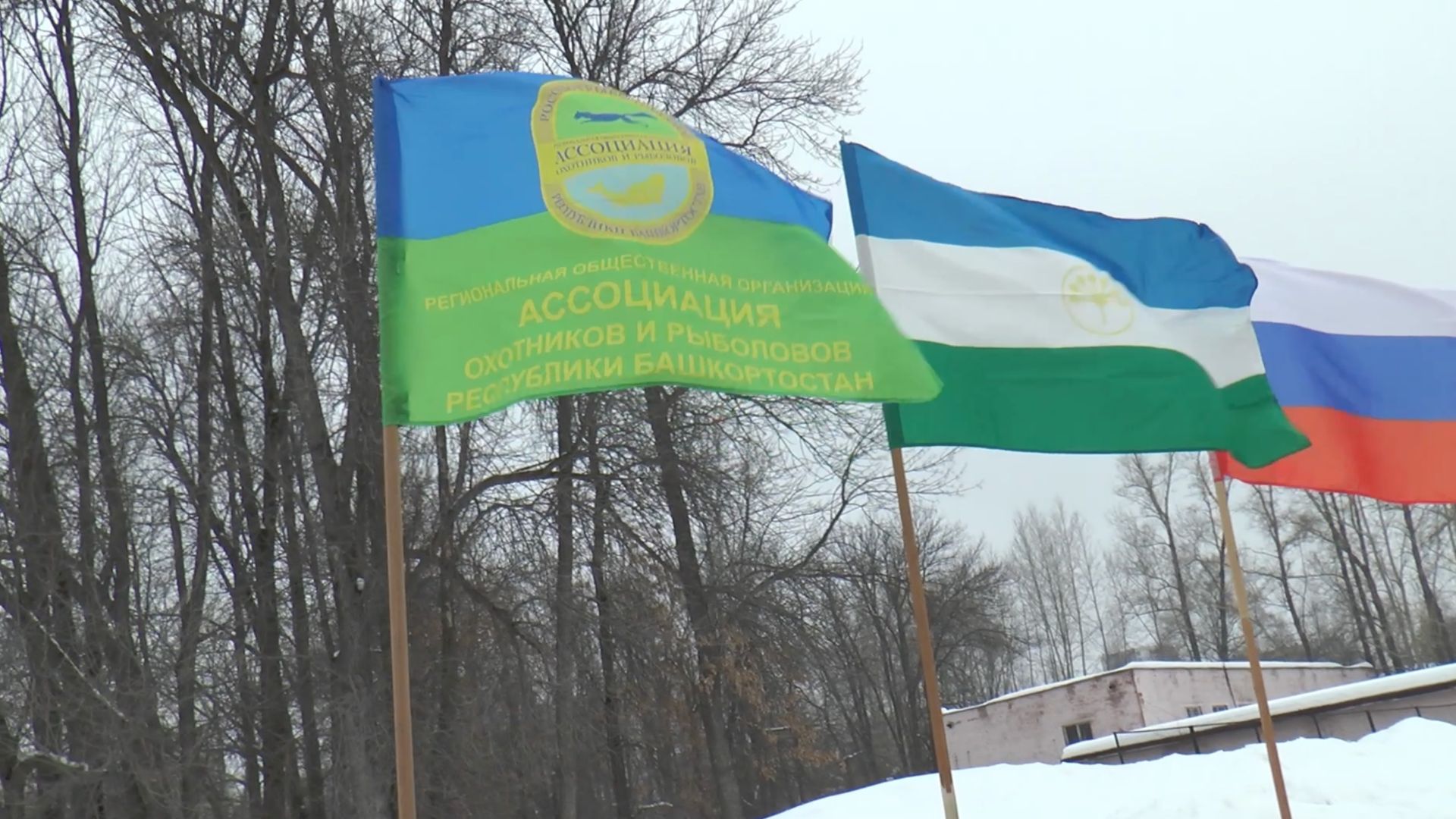 74я Башкирская региональная выставка охотничьих собак Уфа-2026