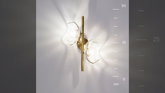 Светильник Maytoni Miracle MOD207WL-02BS