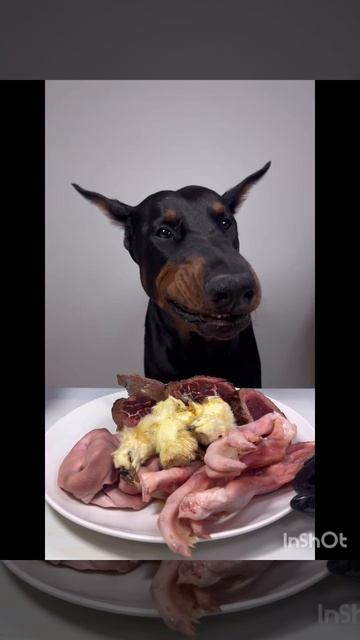 История, брать НЕЛЬЗЯ
ЗАЙДИ В ОПИСАНИЕ