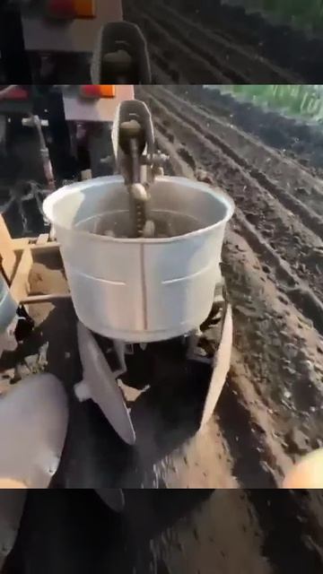 50 ПОСАДКА КАРТОФЕЛЯ