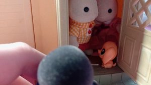 Sylvanian families 52 серия-«Слепая семья«Читать описание.