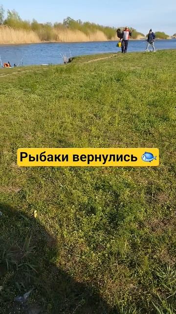 рыбалка в Астрахани 2026г #fishing #рыбалка #астраханьрыбалка #жерех #хищник