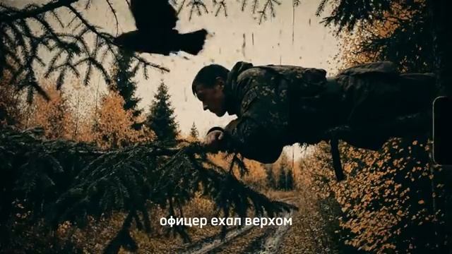 23  подтвержденных