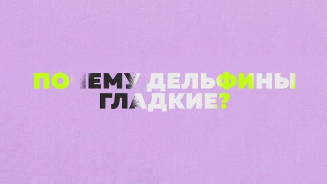 Почему дельфины гладкие? || Большая маленькая наука