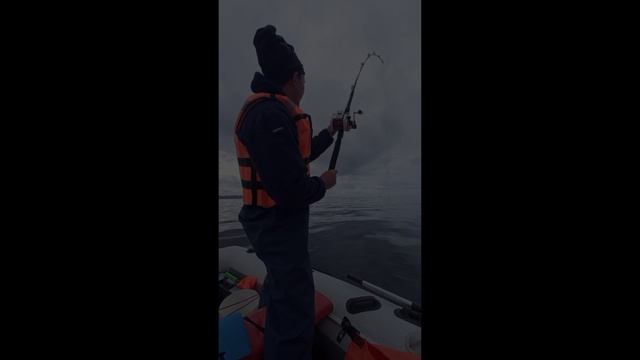 Рыбалка в Териберке . Апрель 2026