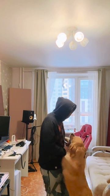 Собачники - это диагноз!