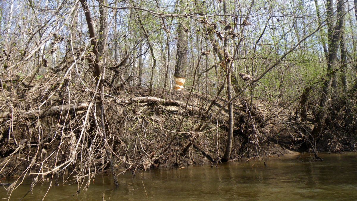 Весенний поход на майские праздники, р.Майна, Ульяновская область, 2012г.