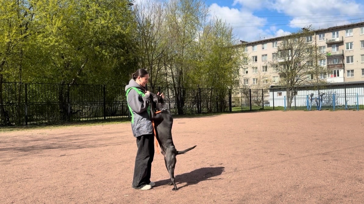 Проектная работа