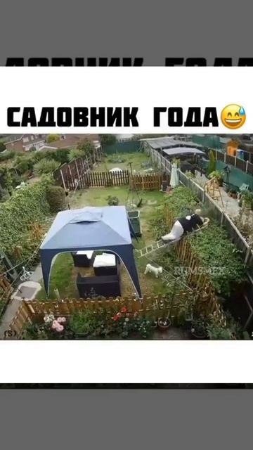 Video_2026-04-02_23-35-53